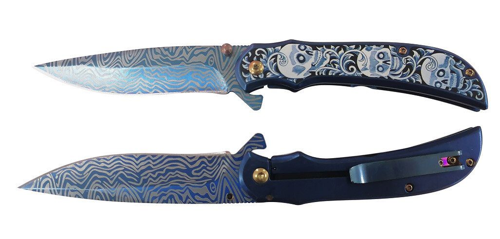Stainless Steel Assisted Folding Knife with Skull Design - Blue - Fantasticblades